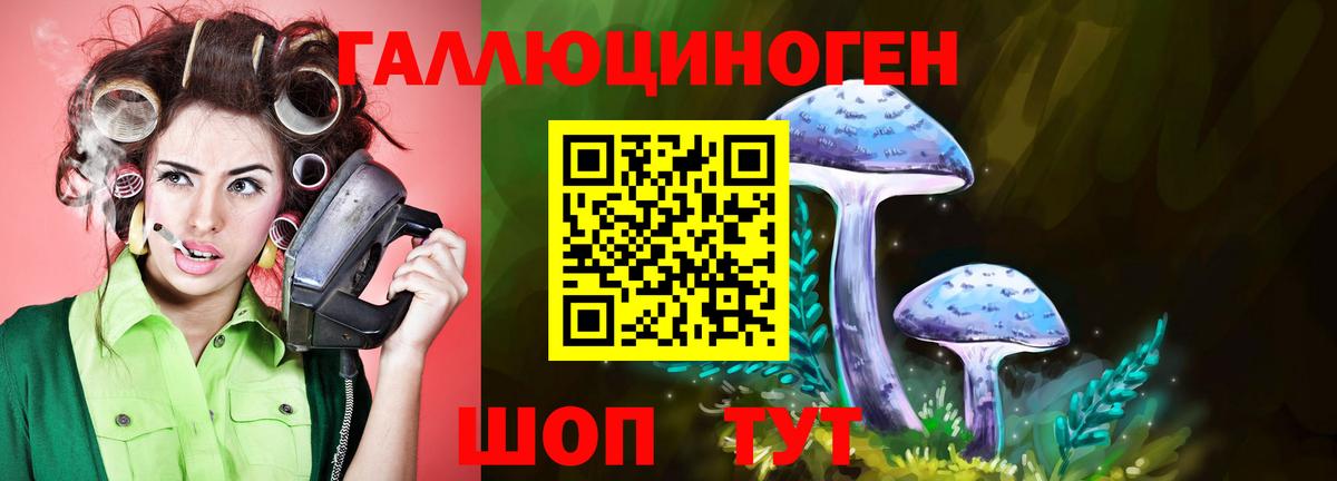 Псилоцибиновые грибы прущие грибы Ярославль